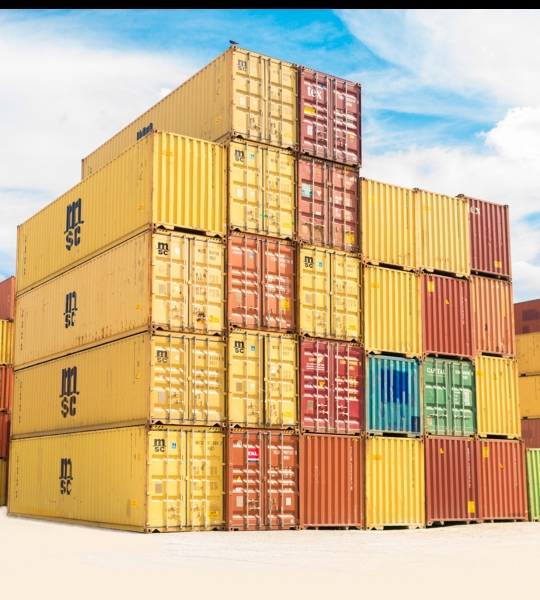 Web Portal Entegrasyonu