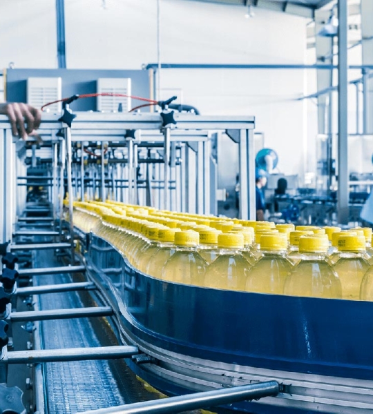 Üretim Hattı Etiketleme Modülü